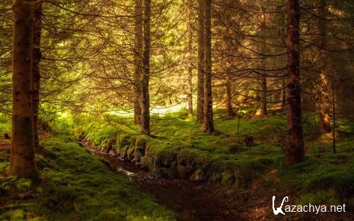 ���� �������� �������� ������� �������� �� ������� ���� ������ 177