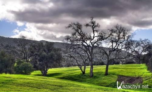 ���� �������� �������� ������� �������� �� ������� ���� ������ 177