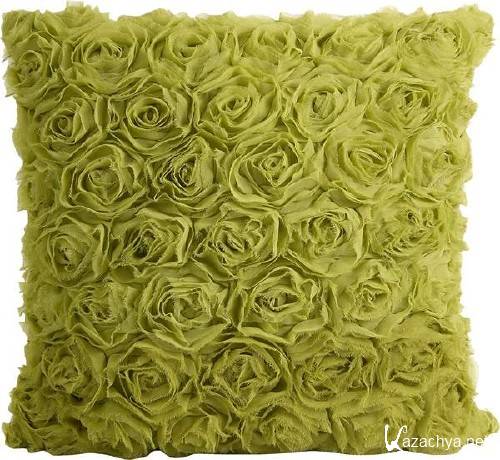 ��������: �������