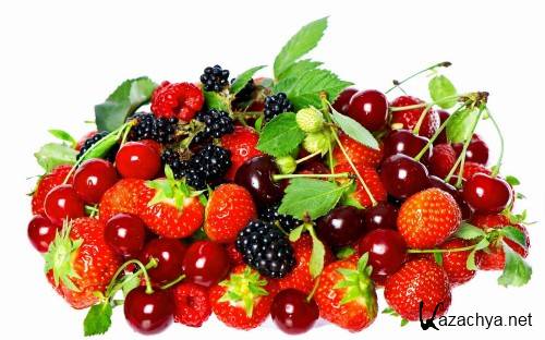 ���� �� ���� ���, ������� ����� ������ 8