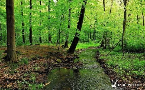 Обои с прекрасными уголками природы 926 Обои с прекрасными уголками природы 926