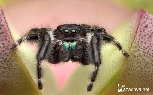 Best HD Wallpapers Pack �1347