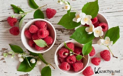 Best HD Wallpapers Pack �1347