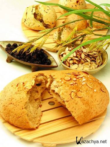 ������������� ����������