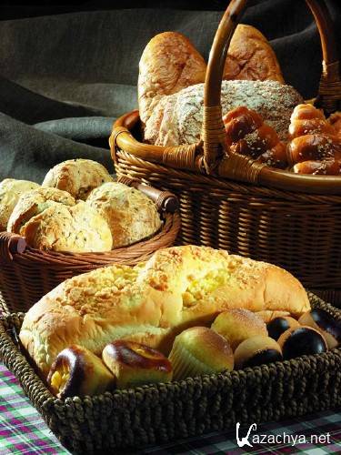 ������������� ����������