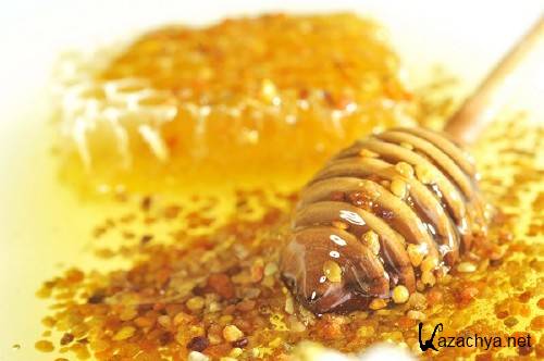 ��������: ������� ���