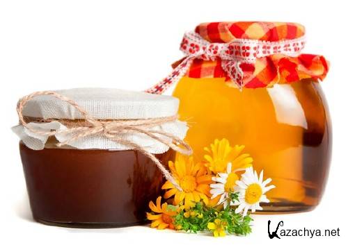 ��������: ������� ���