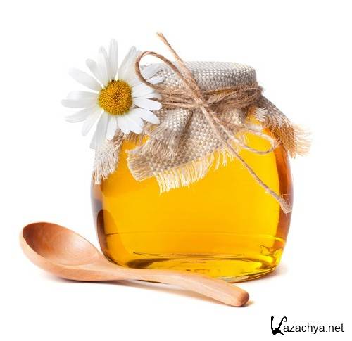 ��������: ������� ���