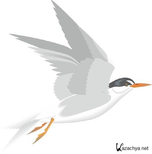 ������������� ����� � �������