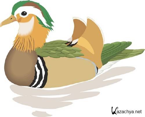 ������������� ����� � �������