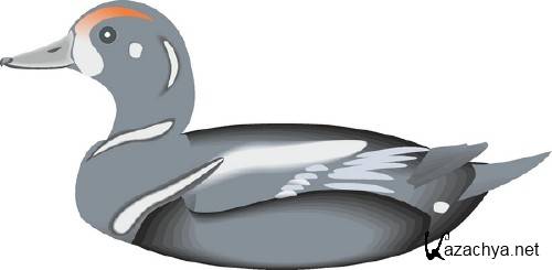 ������������� ����� � �������