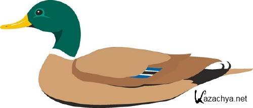 ������������� ����� � �������