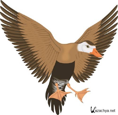 ������������� ����� � �������