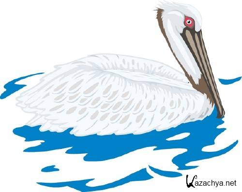 ������������� ����� � �������