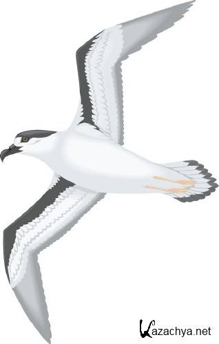 ������������� ����� � �������