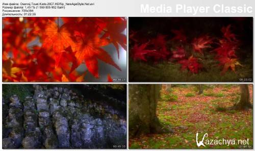 Осенний цвет Киото / Kyoto Autumn Color (2007) Осенний цвет Киото / Kyoto Autumn Color (2007)