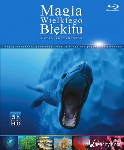   .   / The Magic Of The Big Blue. Seven Continents (2011) 1080i BD-Remux