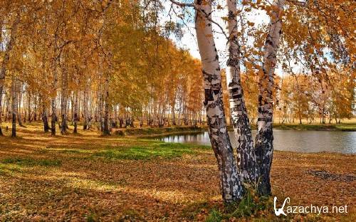 Обои с прекрасными уголками природы 938 Обои с прекрасными уголками природы 938