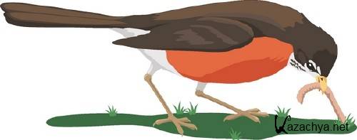 Векторная подборка: Птицы Векторная подборка: Птицы