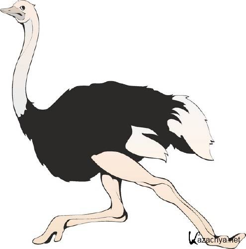 Векторная подборка: Птицы Векторная подборка: Птицы