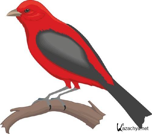 Векторная подборка: Птицы Векторная подборка: Птицы