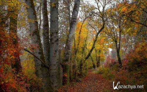 Фото хорошего качества природы подборка на рабочий стол выпуск 188 Фото хорошего качества природы подборка на рабочий стол выпуск 188