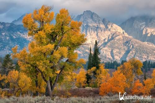 Фото хорошего качества природы подборка на рабочий стол выпуск 188 Фото хорошего качества природы подборка на рабочий стол выпуск 188