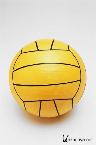 ���������� ���������: ���