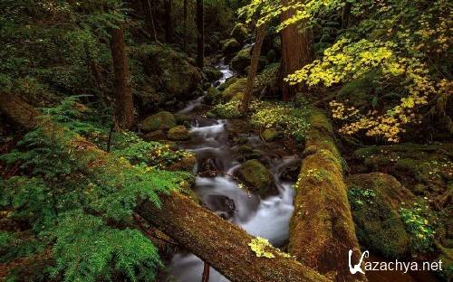 ���� � ����������� �������� ������� 944