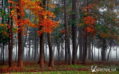 ���� � ����������� �������� ������� 944