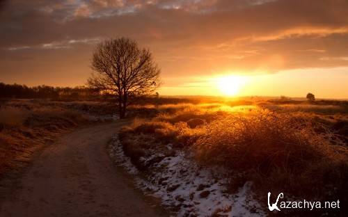 ���� � ����������� �������� ������� 944