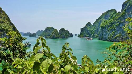 ���� � ����������� �������� ������� 951