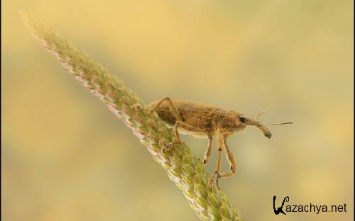 Best HD Wallpapers Pack �1370