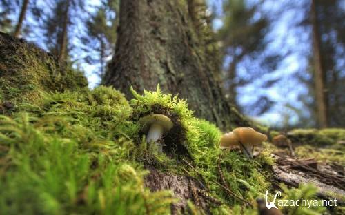 Best HD Wallpapers Pack �1370