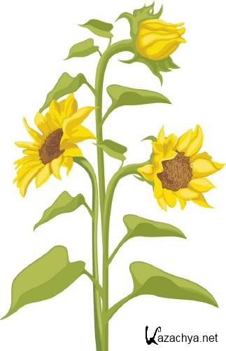 �����: �������� �������