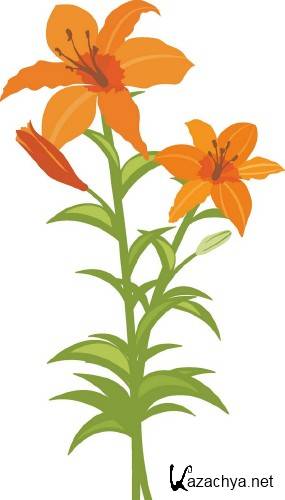 �����: �������� �������