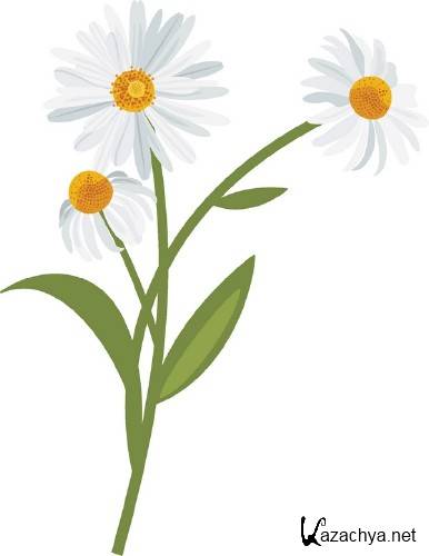 �����: �������� �������