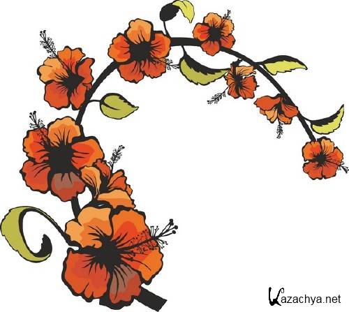 �����: �������� �������