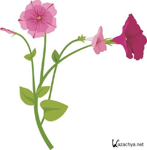 �����: �������� �������