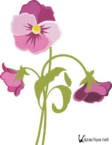 �����: �������� �������