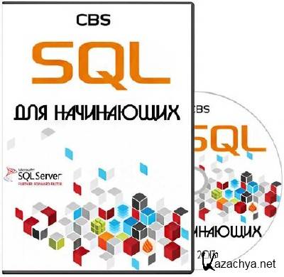 SQL  . (2013)  