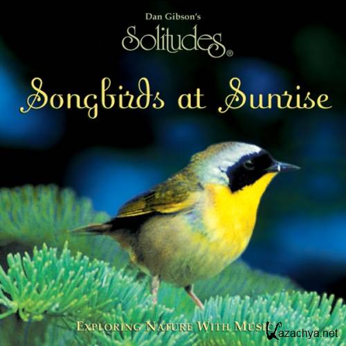 "Solitudes: Songbirds at Sunrise"  Dan Gibson & John Herberman.