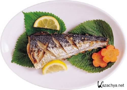 ���� �������������� (�������� ��������)