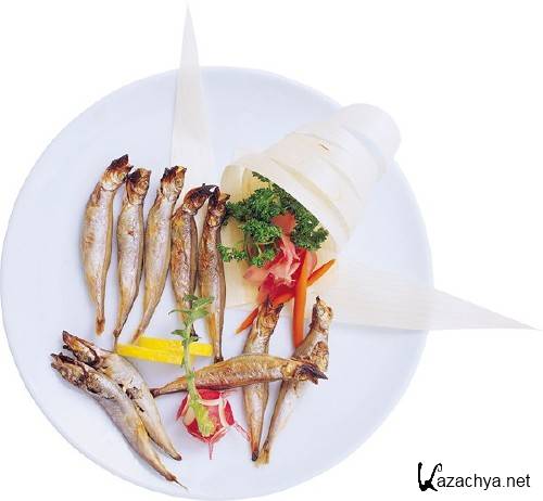 ���� �������������� (�������� ��������)