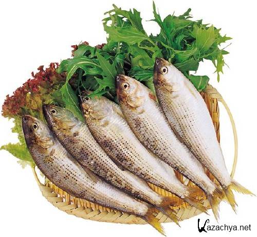 ���� �������������� (�������� ��������)