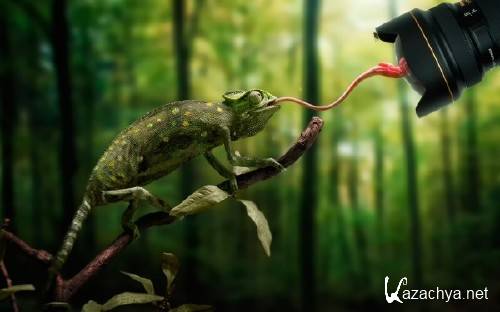 Набор креативных обоев для фона рабочего стола 70 Набор креативных обоев для фона рабочего стола 70