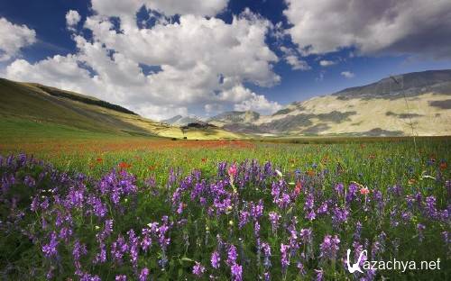 ���� � ����������� �������� ������� 963