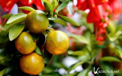 Best HD Wallpapers Pack �1382