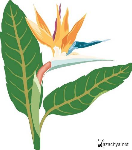 Цветы и растения - векторный клипарт Цветы и растения - векторный клипарт