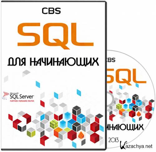 SQL  .  (2013)